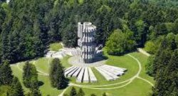 0905 10052026 kozara