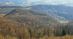 21122025 strahinjscica