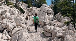 0105 03052026 velebit