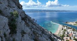 2310 25102026 omis