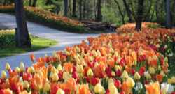 18042026 volcji potok