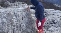 1104 12042026 markacisti ppv1