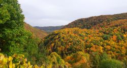 10102026 samoborsko