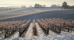 24012026 podravina1a